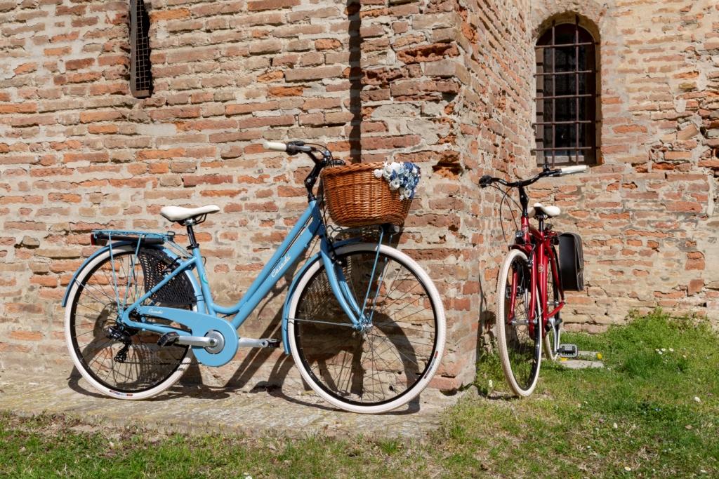 Dámsky bicykel Cottage