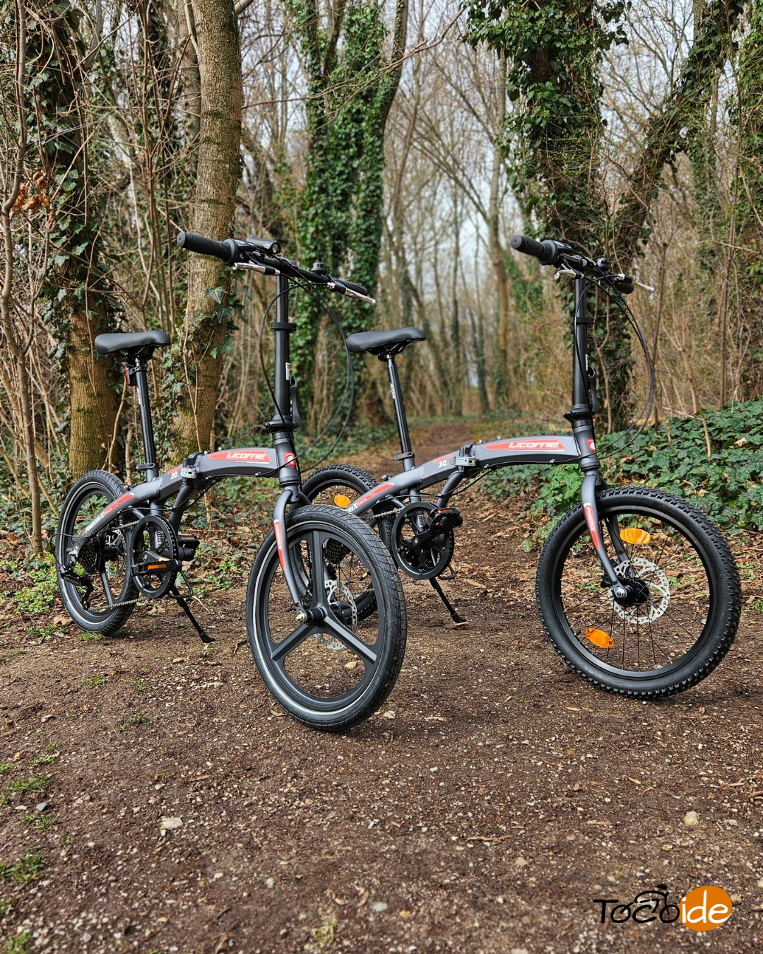 Skladaci bicykel Phoenix Cross Plus