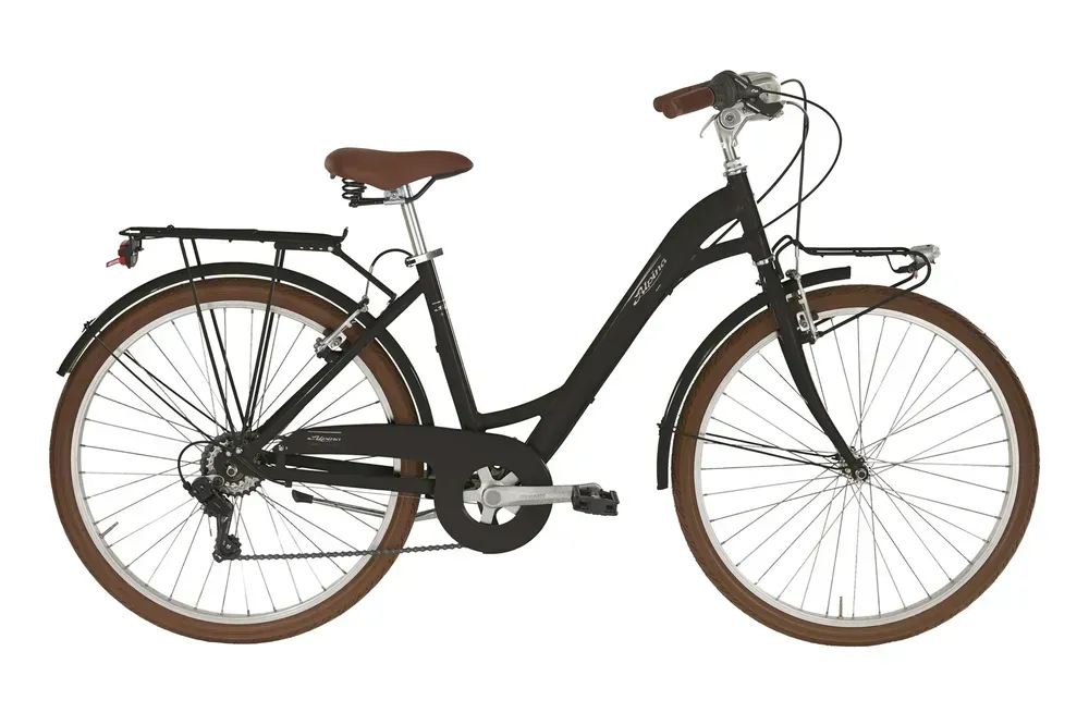 Dámsky bicykel Alpina Dorothy 26