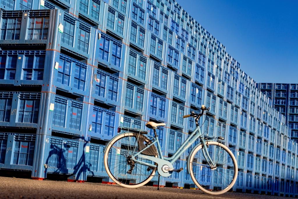 Dámsky bicykel Casadei Cottage 6V