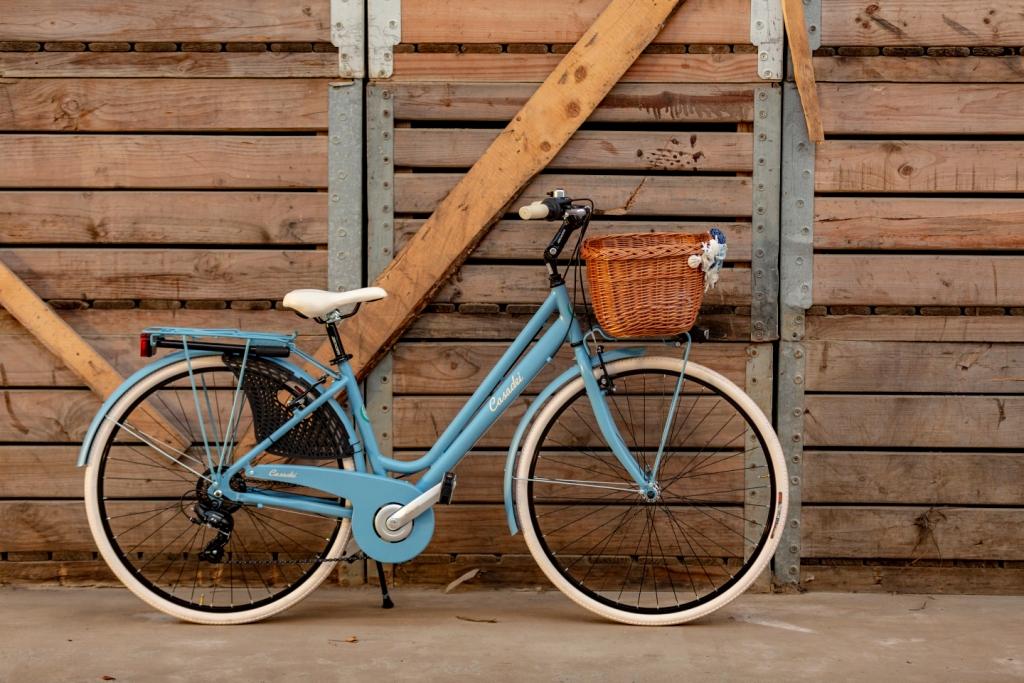 Dámsky bicykel Casadei Cottage 6V