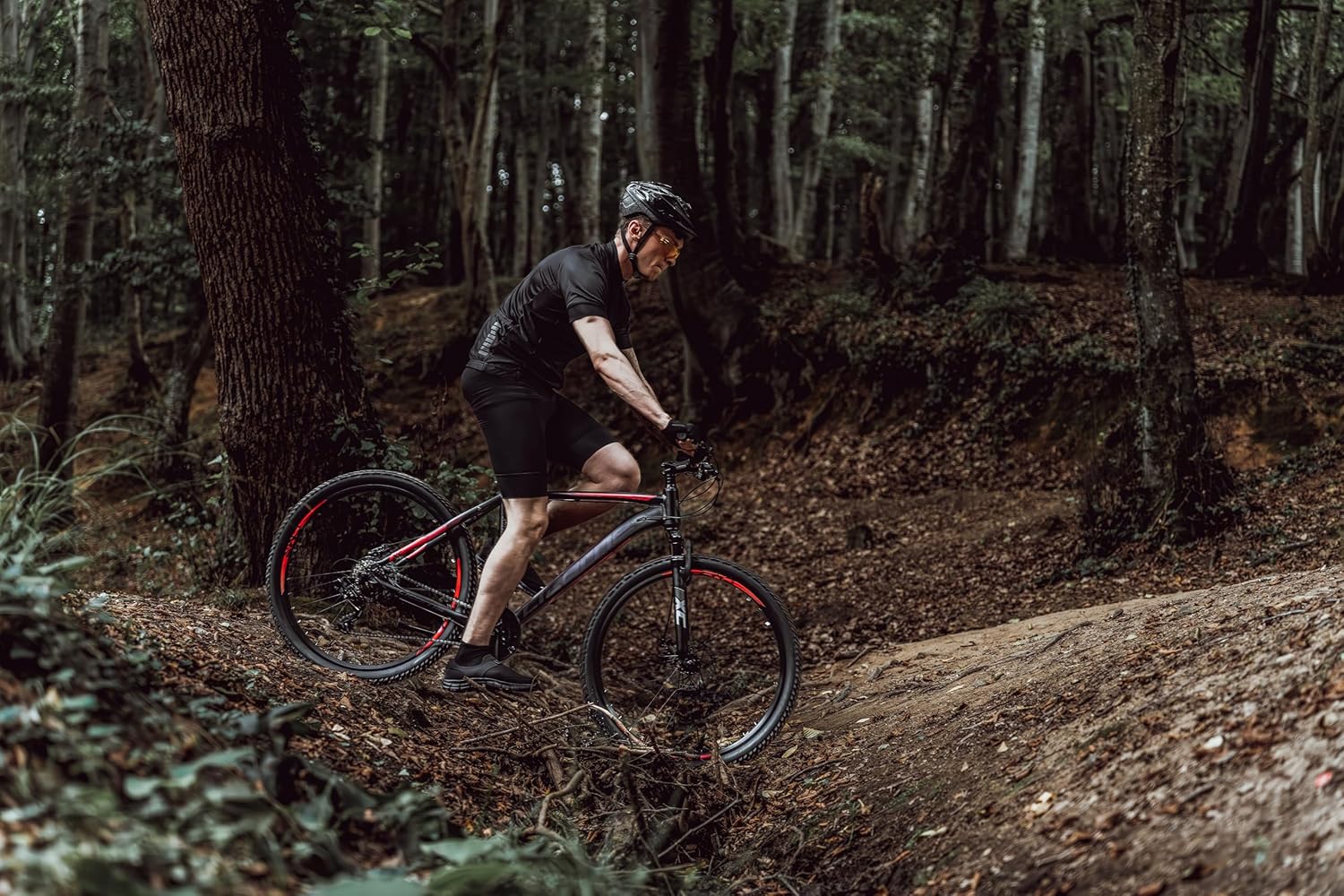 Horský bicykel Diamond 